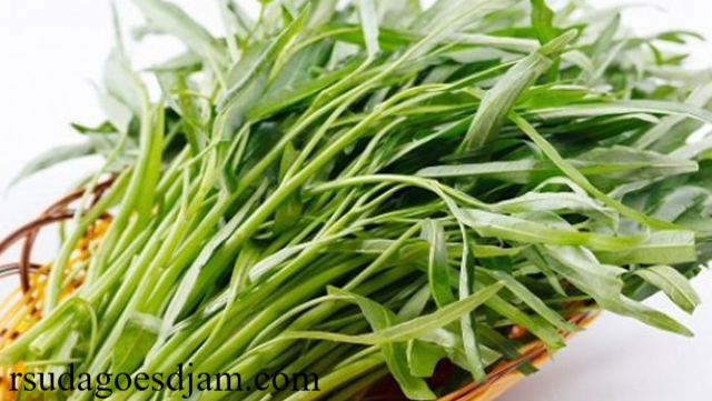 Rahasia Sehat dengan Kangkung Sayuran Super untuk Tubuhmu