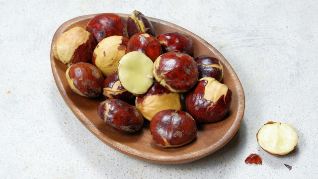 6 Manfaat Jengkol bagi Kesehatan Tubuh